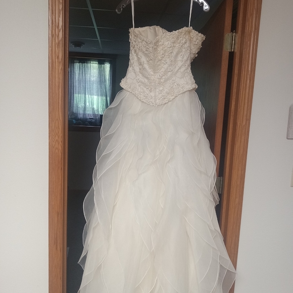 Pronovias, strapless, ivory wedding dress - Picture 5 of 5